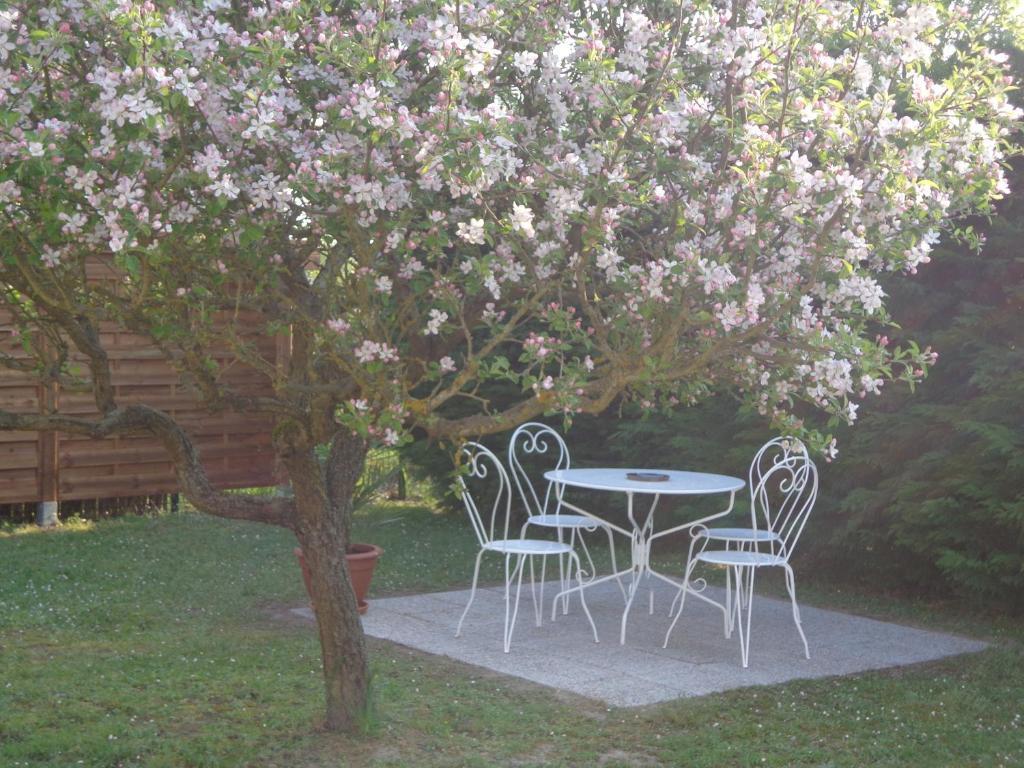 La Grille Doree Amboise Dış mekan fotoğraf